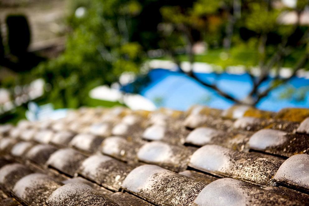Apartamentos Golf Place Borriol Rom bilde